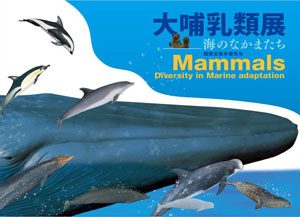 大哺乳類展　海のなかまたち　国際生物多様性年　Mammals Diversity in Marine adaptation